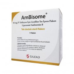 Амбизом (Ambisome) порошок для инъекций 50мг 1шт в  и области фото