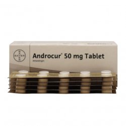 Андрокур (Ципротерон) таблетки 50мг №50 в  и области фото